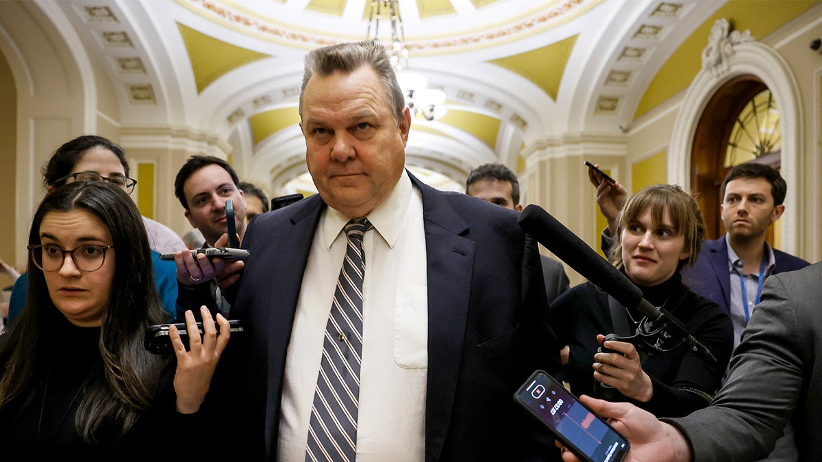 Republicans predict Dems to pay ‘heavy price’ in election after Mayorkas impeachment bid fails