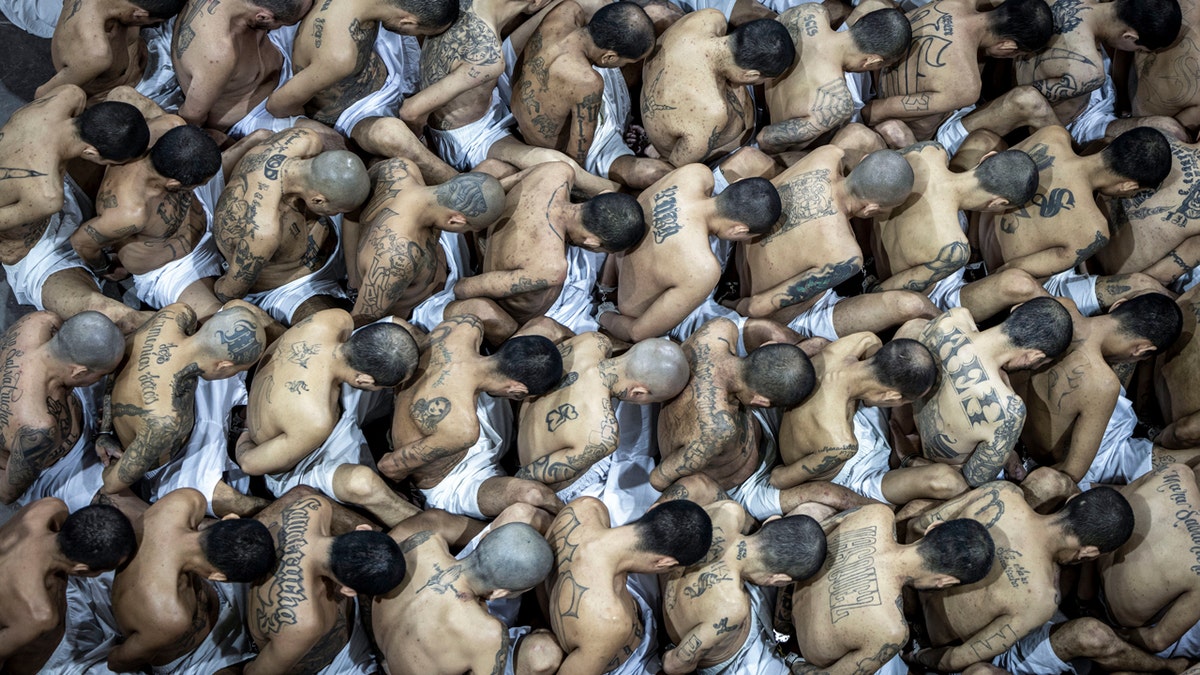Bukele has El Salvador poised to prosper after stopping murder, migration cold in first term