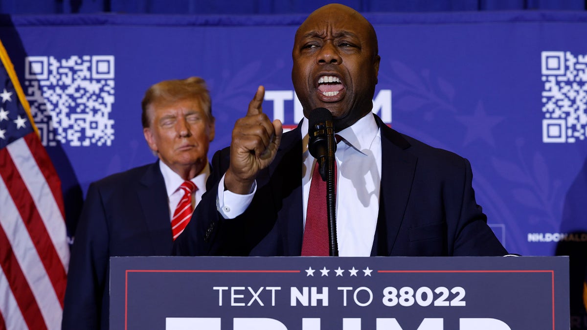 Biden admin confirms terms like ‘MAGA,’ ‘Trump,’ Kamala’ used in private bank transaction searches: Letter