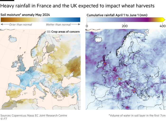 Record rainfall in UK and France batters wheat crops