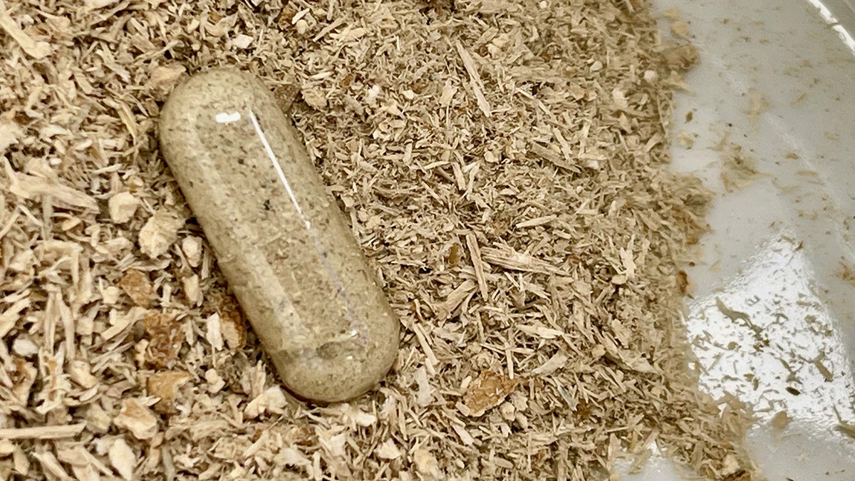 Some moms are microdosing on mushrooms, touting benefits, but risks exist, say doctors