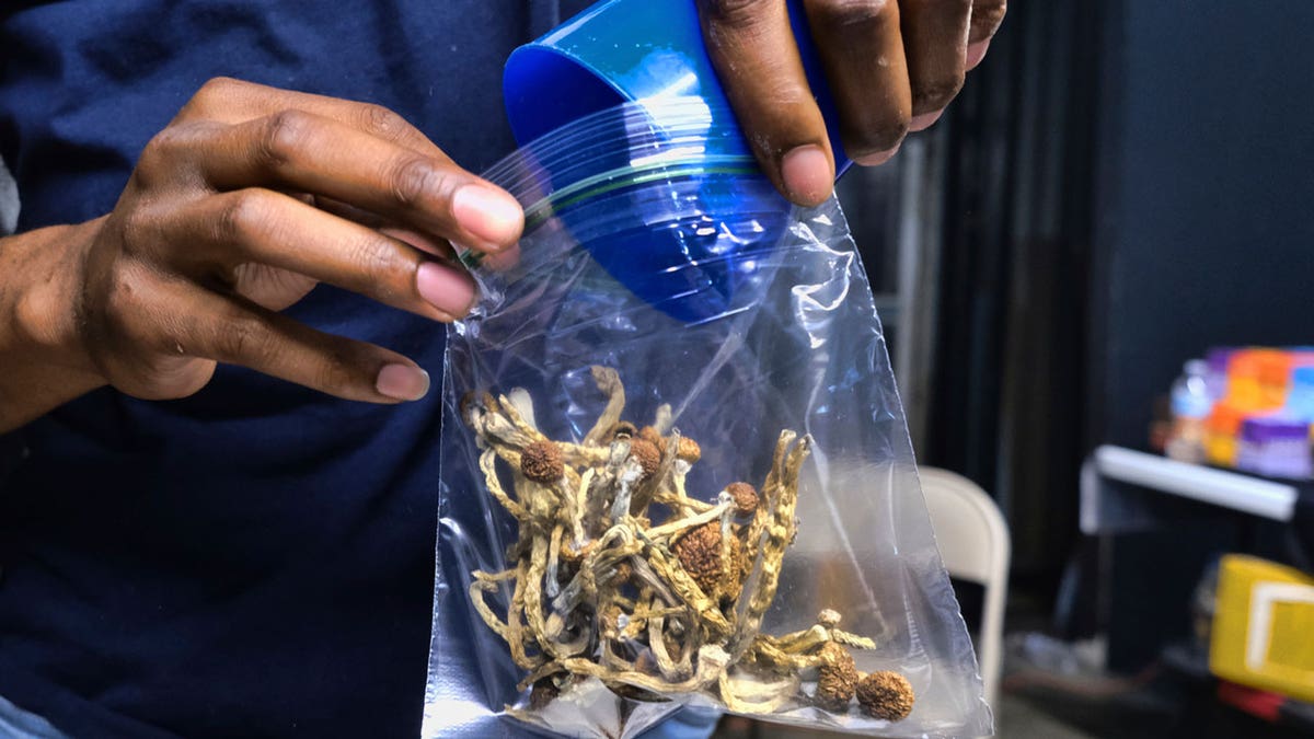 Some moms are microdosing on mushrooms, touting benefits, but risks exist, say doctors