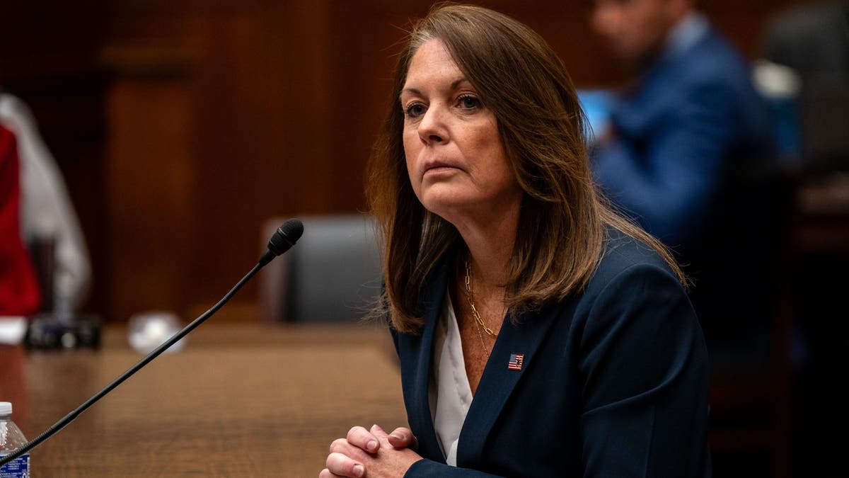 Republicans and Dems demand Secret Service director’s resignation after House hearing: ‘Basically unanimous’