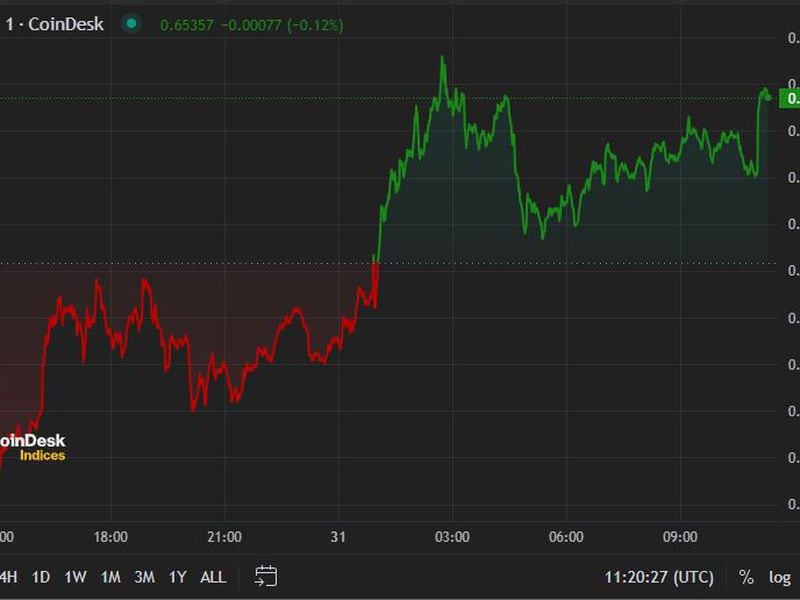 Crypto Market Stabilizes After Nursing Losses