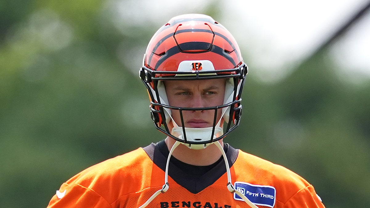 Joe Burrow was not on ‘White Dudes’ call to support Kamala Harris, Bengals say
