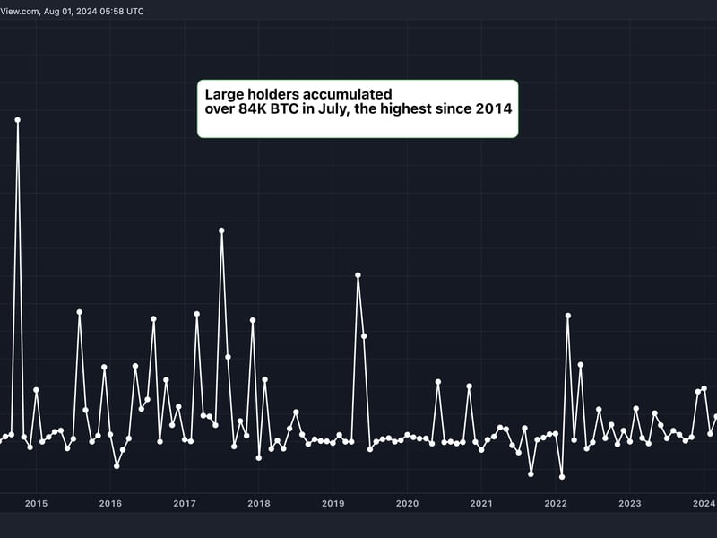 Large Bitcoin (BTC) Holders Added $5.4B in BTC in July, Data Show