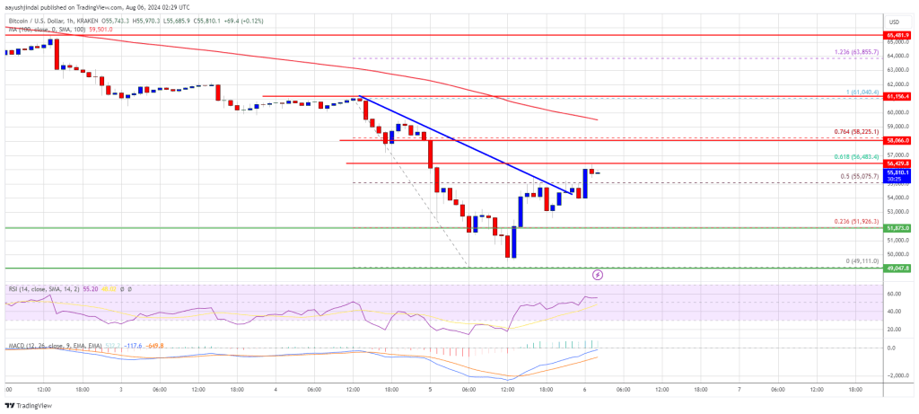 Could the Recovery Lose Momentum?