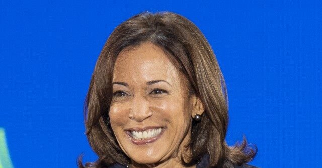 Dem Voters Back Harris for Her ‘Vibe’, Not Accomplishments