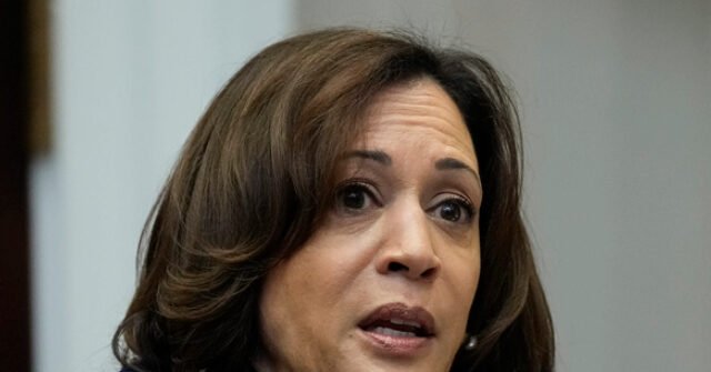 DNC Delegates Struggle to Name Actual Kamala Harris Achievement