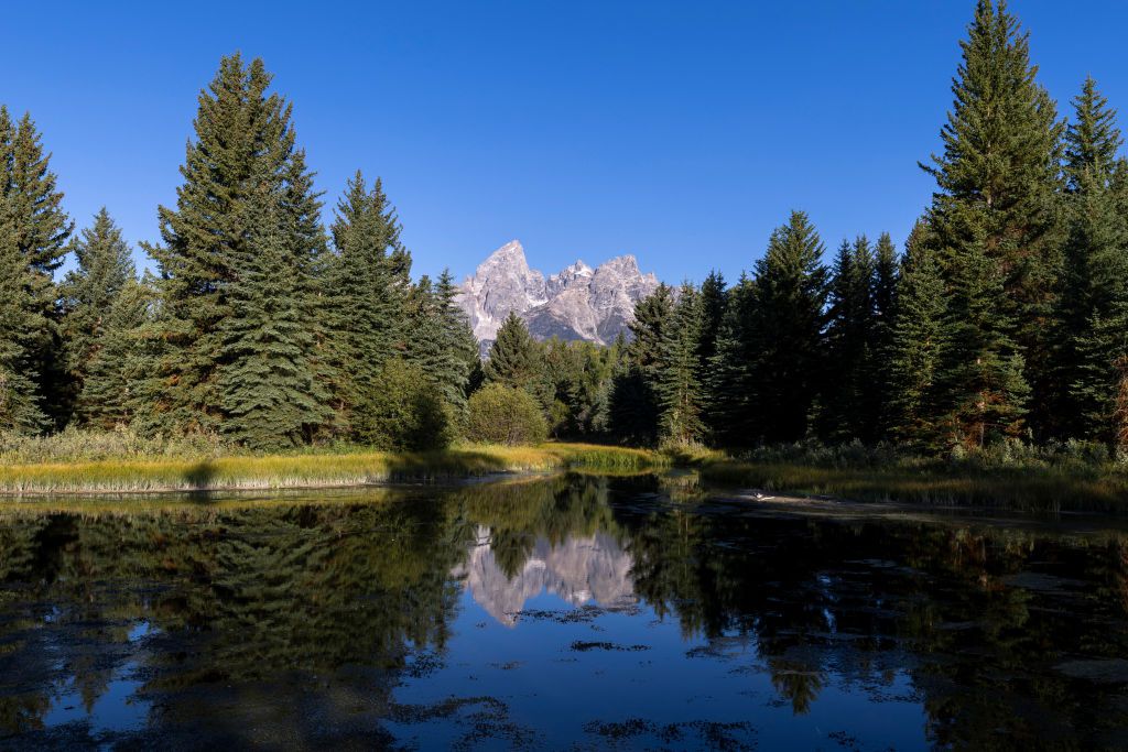Jackson Hole Symposium Starts Today—What Fed Watchers Are Looking For