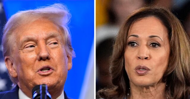Trump Clobbers Harris in Every Swing State on the Economy