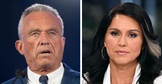 Trump Praises RFK Jr., Tulsi Gabbard for Their Endorsements