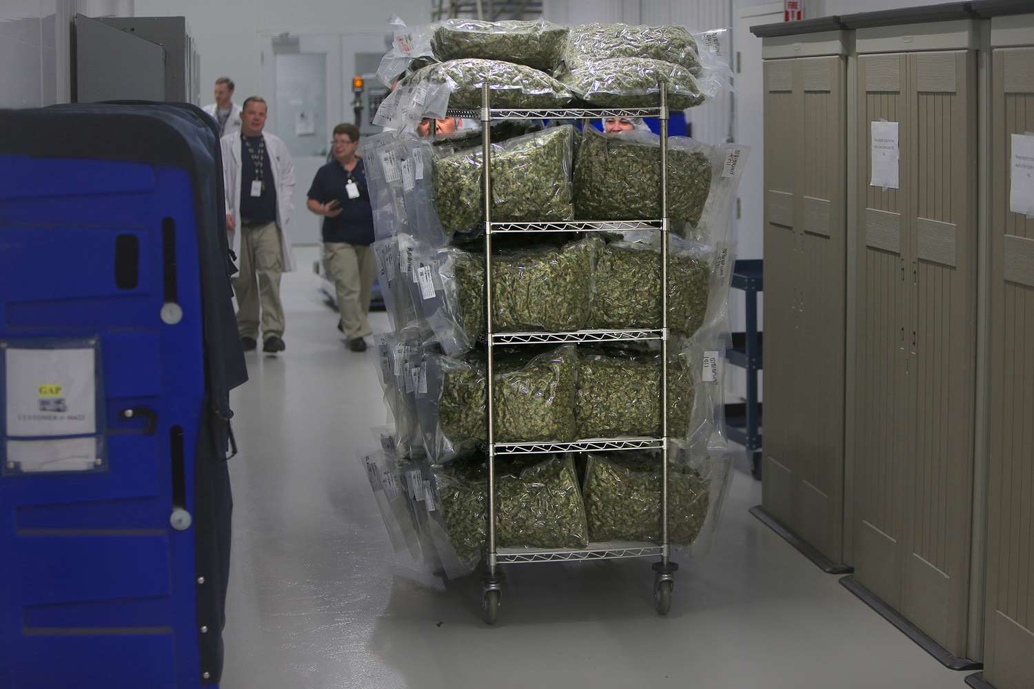 Cannabis Stocks Get Boost as Trump Backs Easing Restrictions