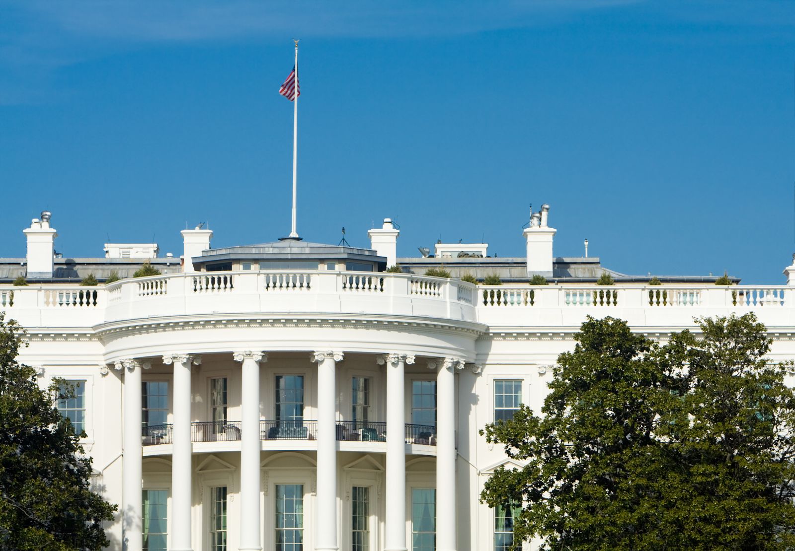 Nvidia and 2 More Stocks Set to Move on U.S. Elections