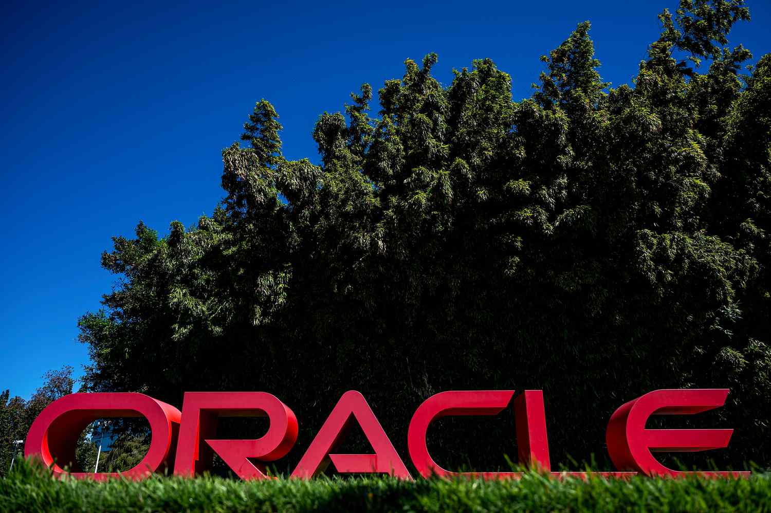 Oracle’s Stock is Red Hot. So Why Is Wall Street Divided?