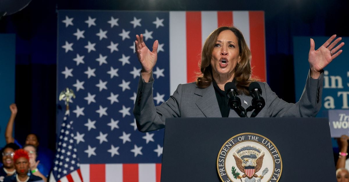 Candidate Kamala Harris Unlikely to Make Full-Throated Crypto Policy Before Election: Source