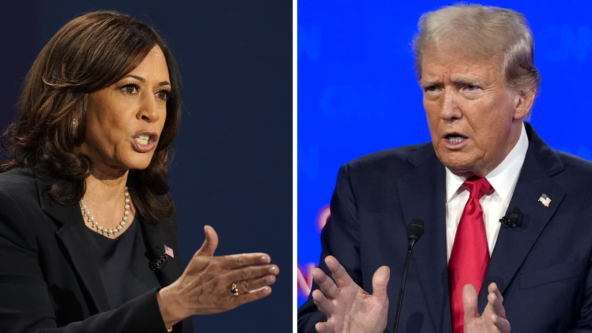 How to prep your portfolio for a Trump or Harris 2024 election victory