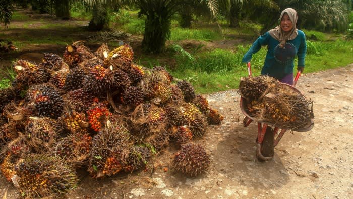 EU moves to delay anti-deforestation rules