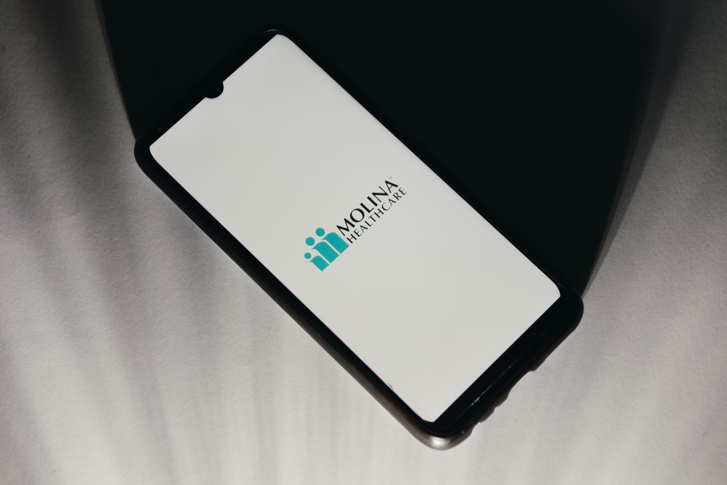 Molina Healthcare Stock Soars 18% as Premium Revenue Surges
