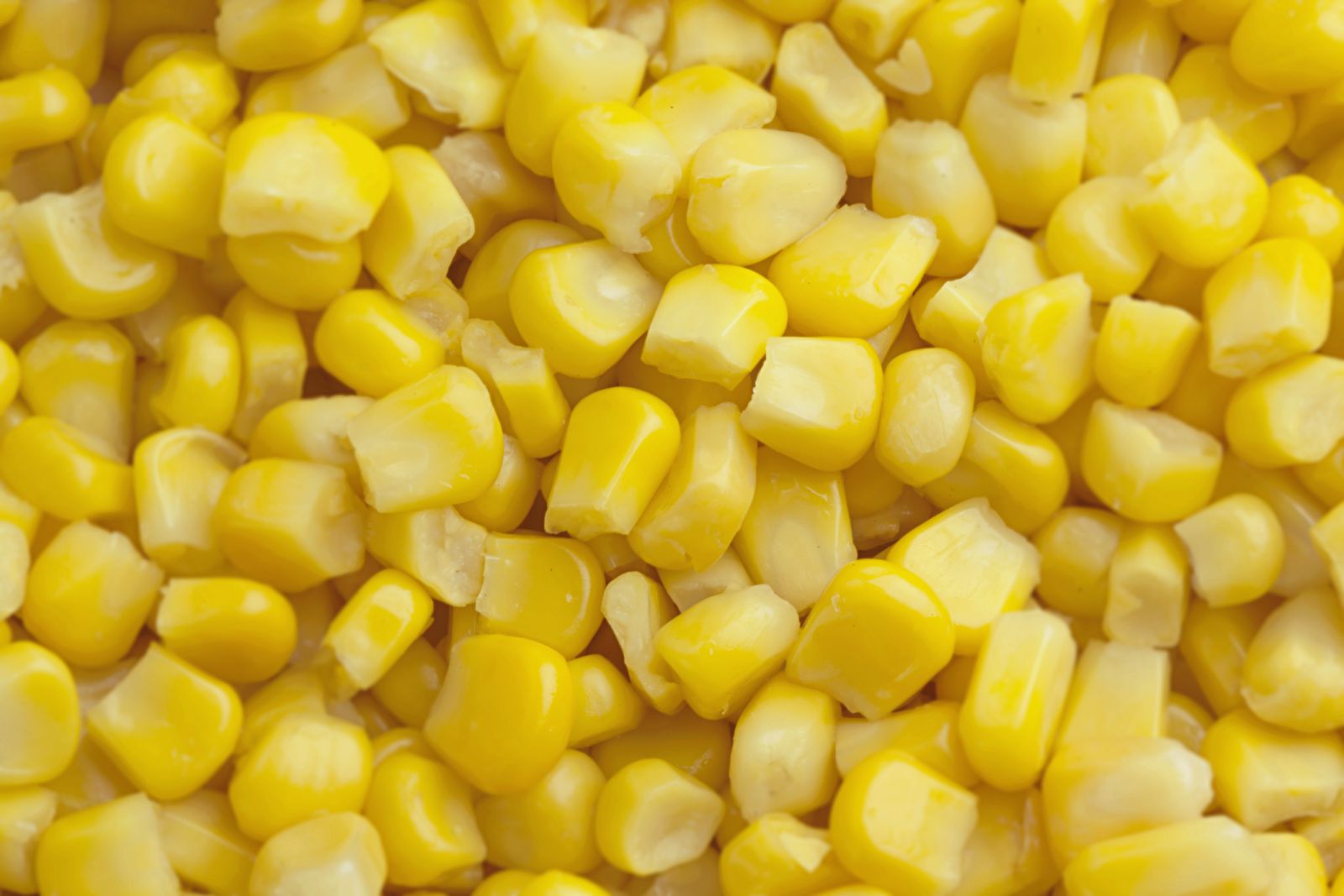 Corn Slips Despite Export Business and Solid Ethanol Data