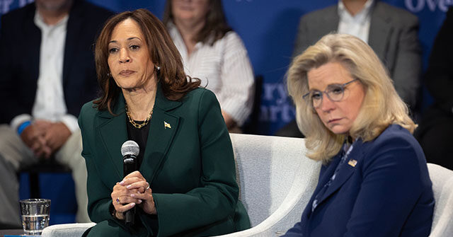 GWOT Veterans Resent Kamala Harris, Cheney, and Democrats