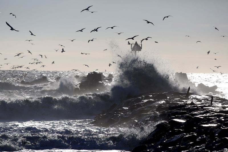 US forecaster sees 59% chance of weak, brief La Nina forming by January