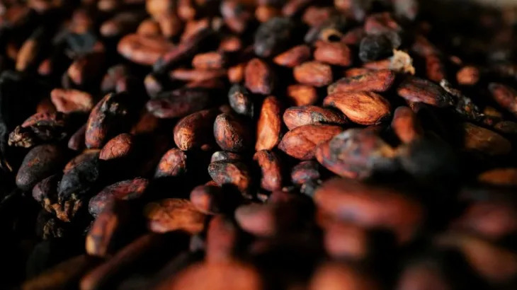 What are cocoa futures, and how do they work?
