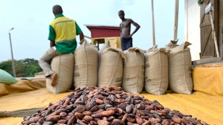 How a hedge fund exodus reshaped global cocoa markets