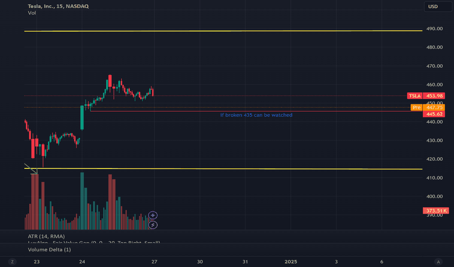 low time frame levels for TSLA
