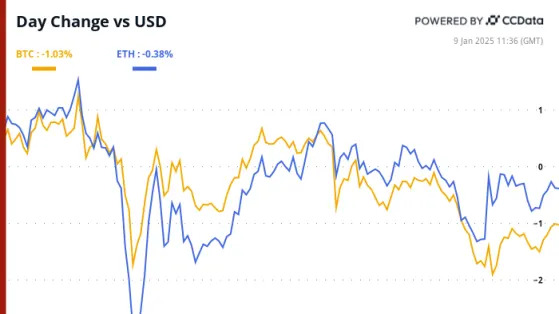 Crypto Daybook Americas: Turmoil Across The Pond as Bitcoin Defends $93K After $300B Wipeout