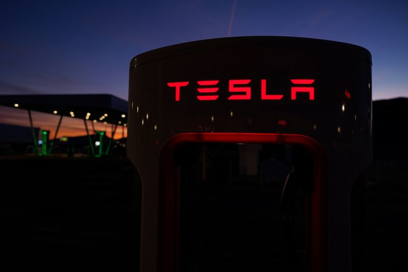 Tesla investors pin hopes on cheaper EV model to boost sales after lackluster 2024