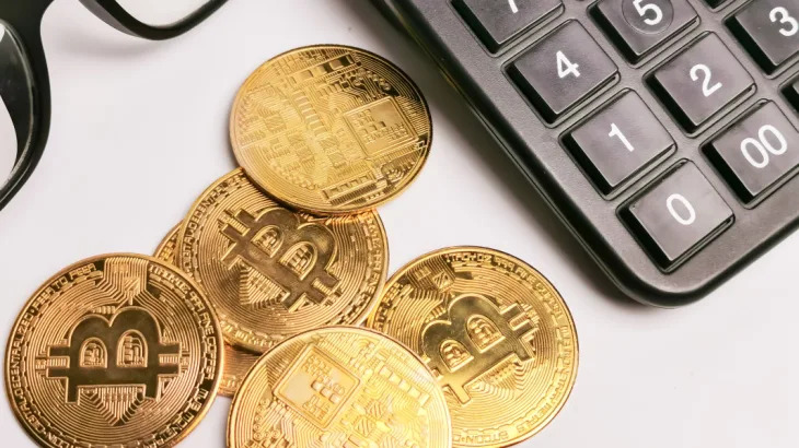Pro-Bitcoin policies and ‘bullish government’ to fuel price surge in 2025: analyst