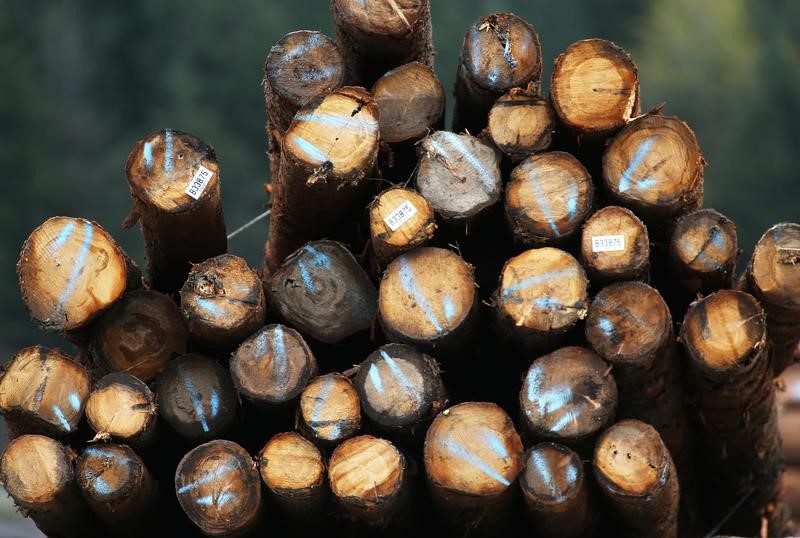 Lumber futures reach over two-and-a-half-year high following Trump's investigation