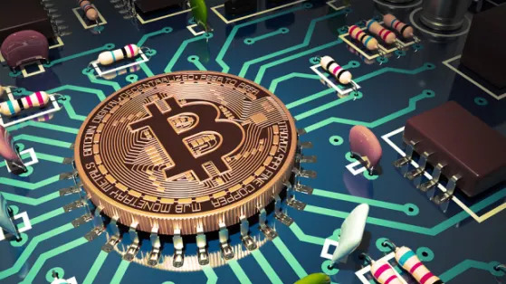 Top Cryptocurrency Stocks You Should Purchase for Solid Returns