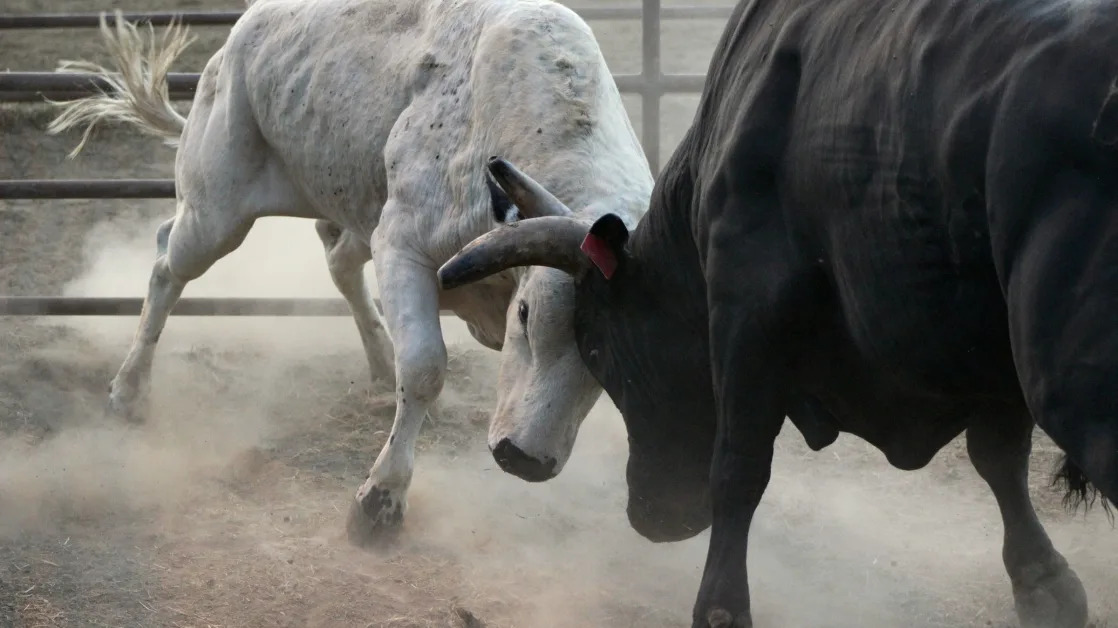 Bitcoin Tops $84K, Battling Key Level for Bulls; SOL, LINK Lead Gains