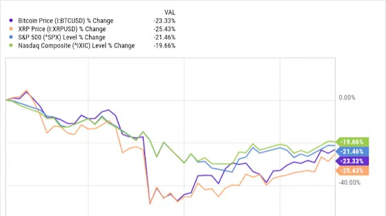 What if the Market Crashes? Bitcoin vs. XRP