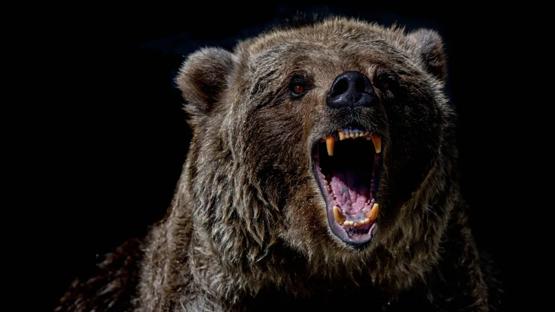Bitcoin Plunges Below $84K after $115B Sell-Off Wipes Out Weekly Gains