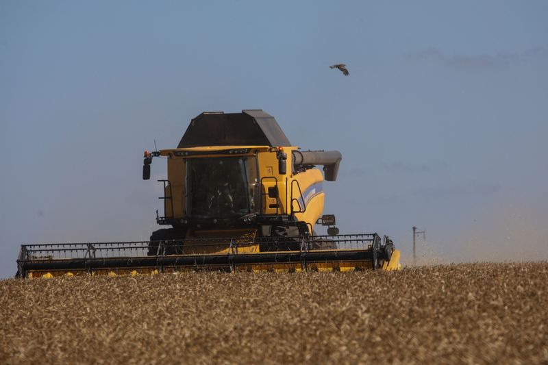 Grain traders ask Ukraine to suspend price mechanism changes, say exports at risk