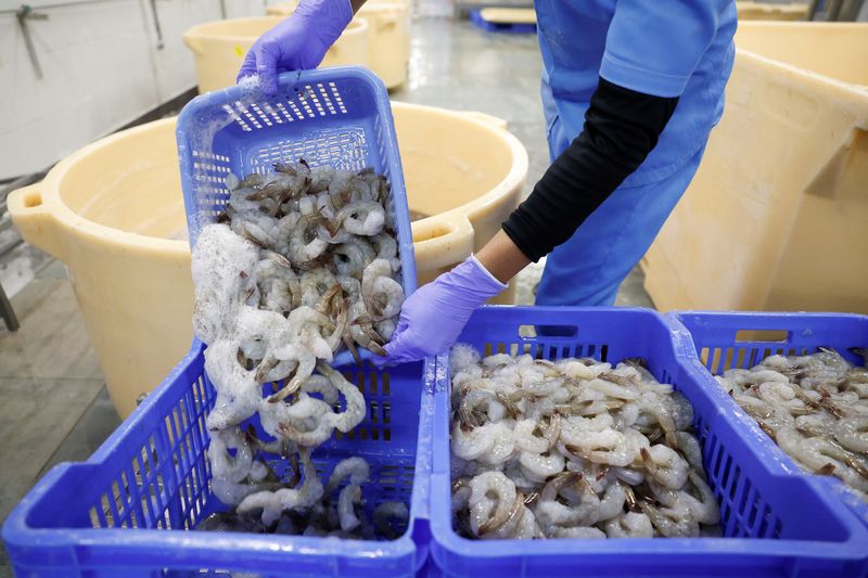 Indian shrimp industry sails in troubled waters after Trump tariffs