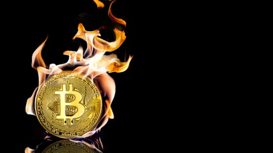 The Great Decoupling: Bitcoin Carves its Own Path