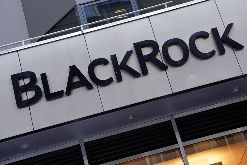 BlackRock wins 67% support for pay as CEO Fink assures on global economy