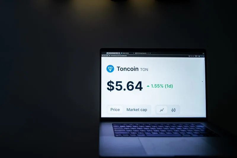 Bitcoin, Ethereum, Solana, and more: The top 15 cryptocurrencies everyone should know