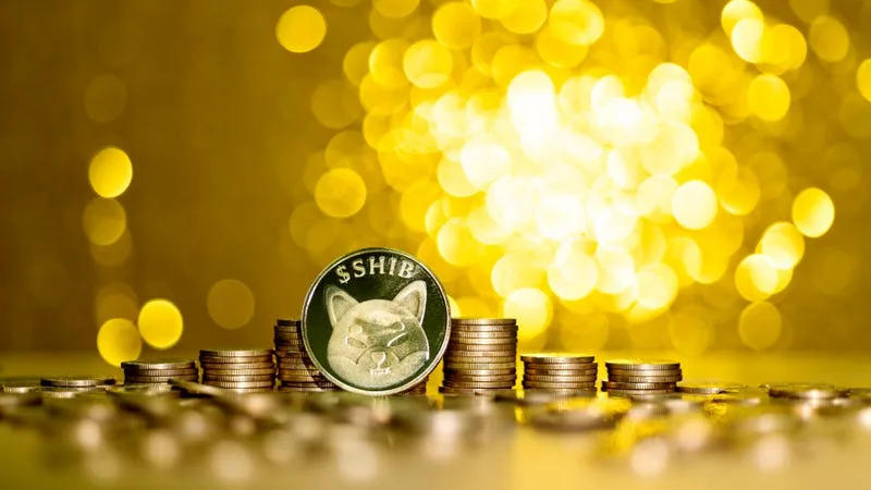 Bitcoin, Ethereum, Solana, and more: The top 15 cryptocurrencies everyone should know