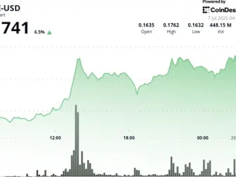 Dogecoin Sees Heavy Buying From Whales as Elon Musk Supports BTC in New Party Rollout
